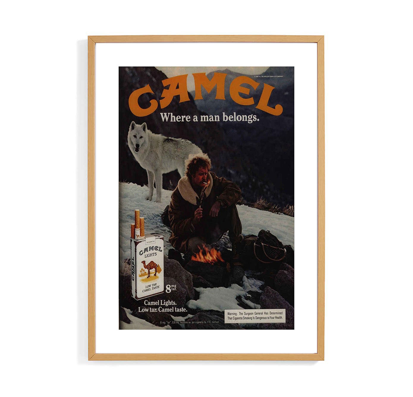 Camel Snow