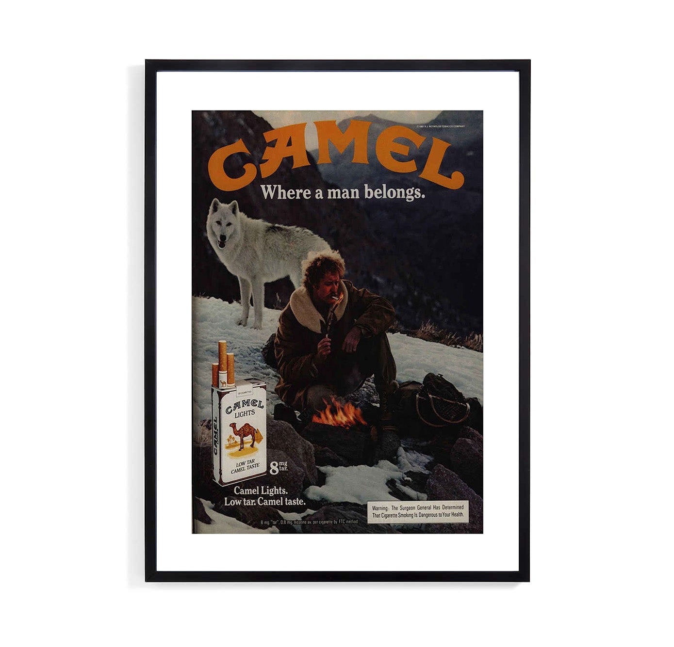 Camel Snow