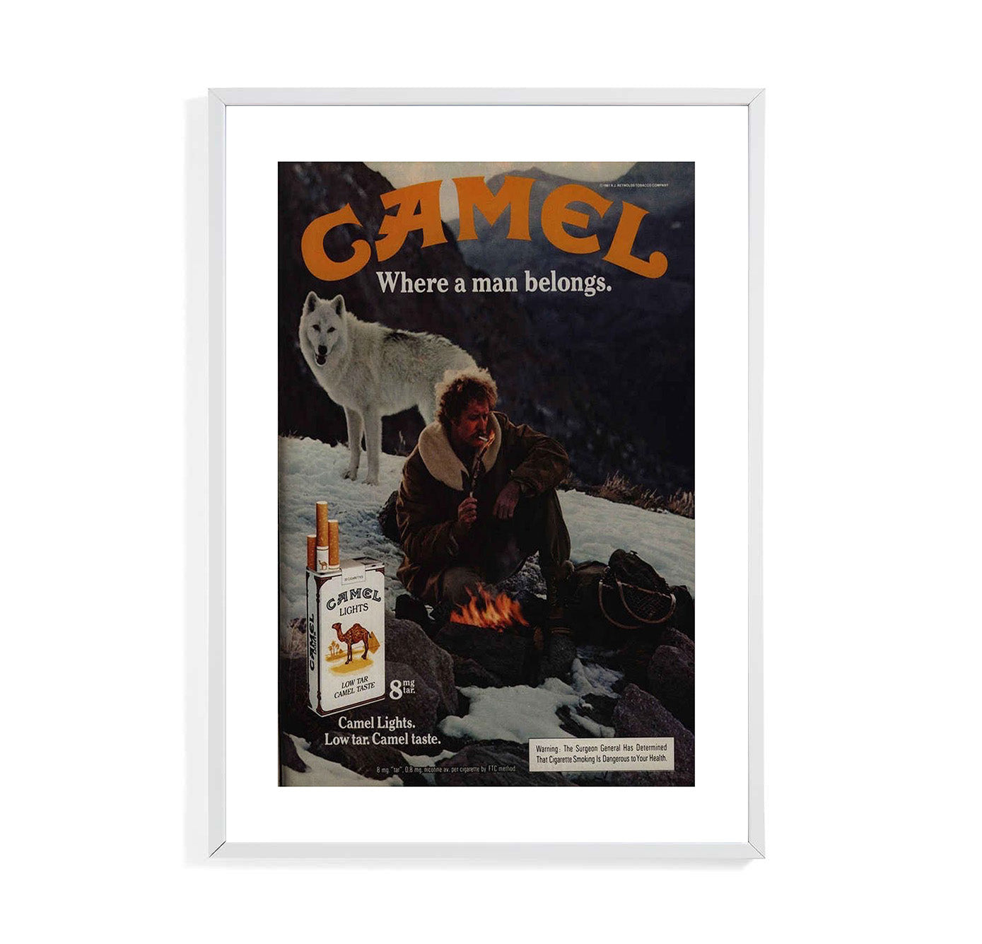 Camel Snow